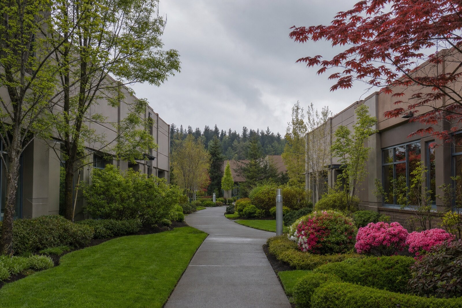 Commercial Grounds Maintenance & Renovation — Ideal Touch Landscaping, Kent WA